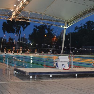 Dsc 0105